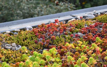 the cost of Hintlesham green roof installation