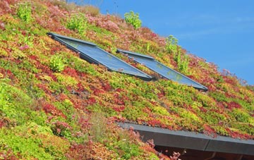 Hintlesham living roof systems